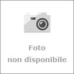 Russo Gaetano - Florart