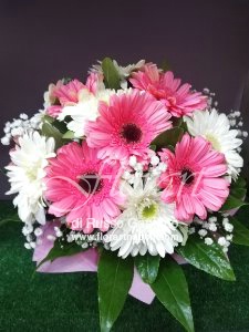 Fantasia di Gerbere.