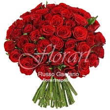 50 Rose Rosse