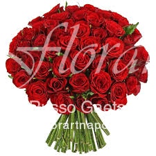 Foto 50 Rose Rosse