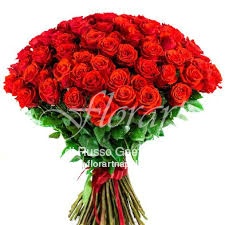 100 Rose Rosse