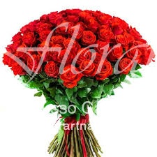 100 Rose Rosse