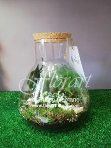 Terrarium Vulcano.